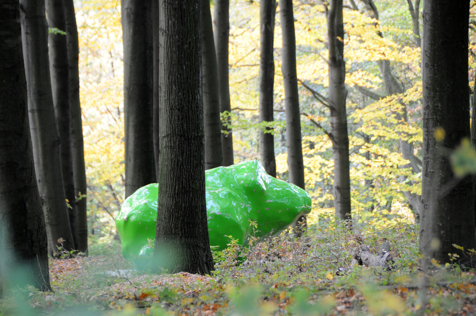 Waldfrieden - auf der Pirsch