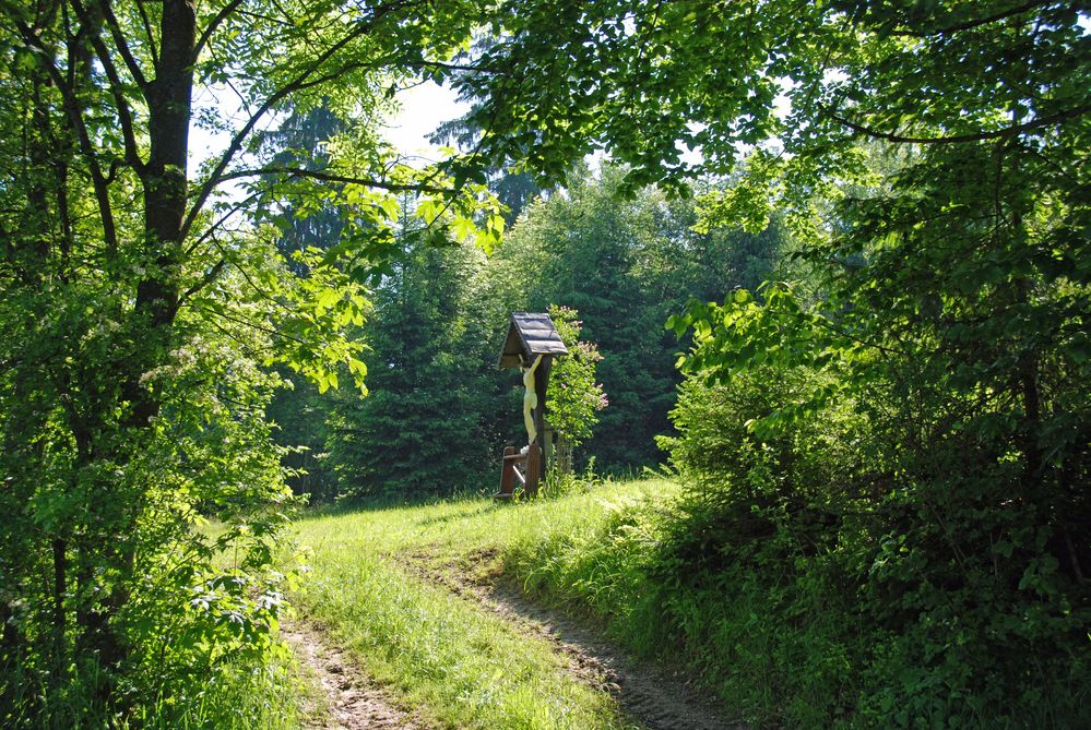 Waldfrieden