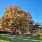 Waldfriedhof 01