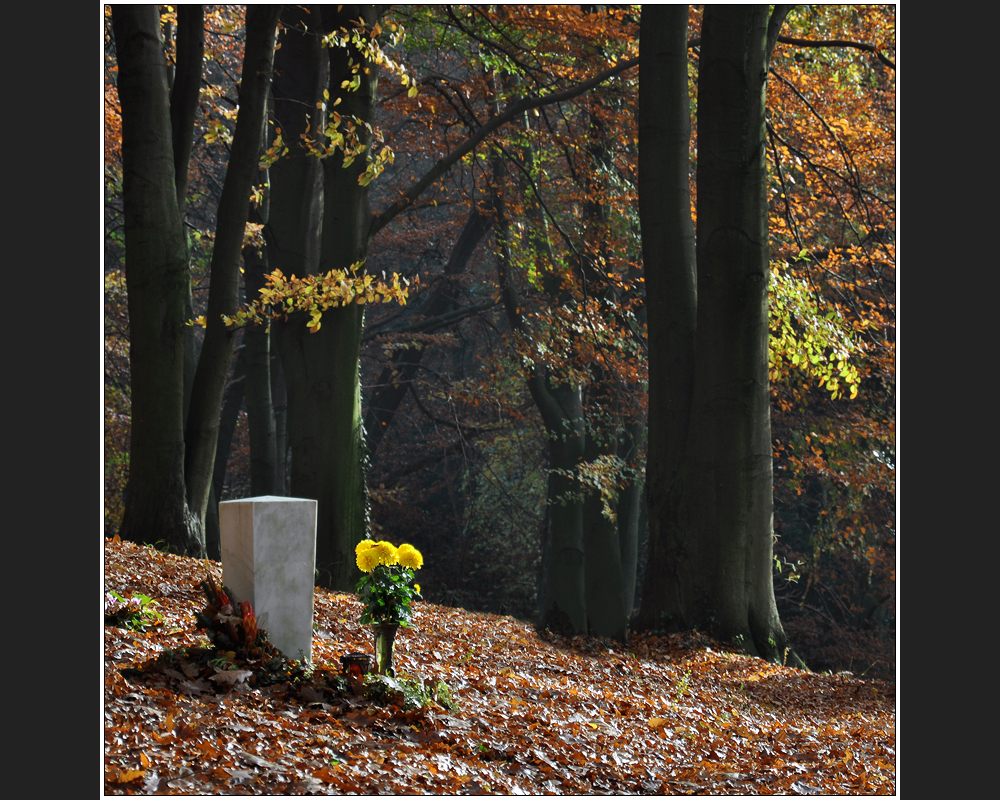 Waldfriedhof