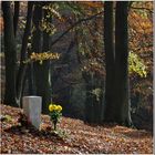 Waldfriedhof