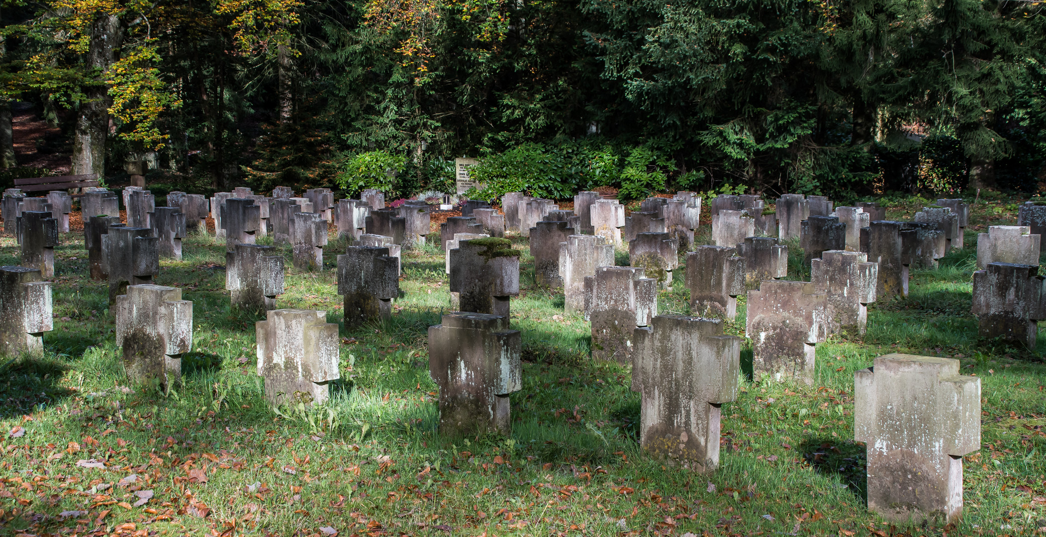 WALDFRIEDHOF