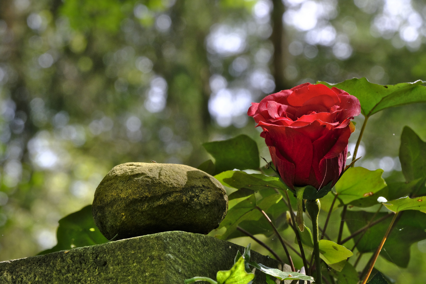 Waldfriedhof (6356)