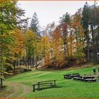 Waldfriedhof als  Gottesacker