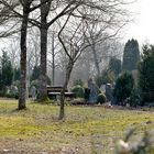 Waldfriedhof an Karfreitag