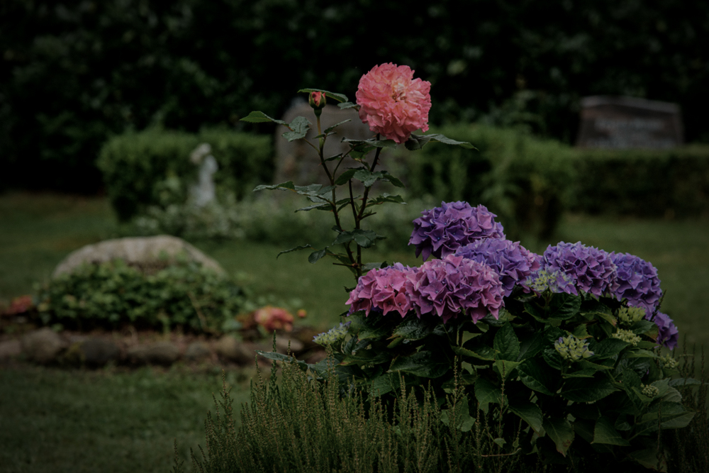 Waldfriedhof Buxtehude_01