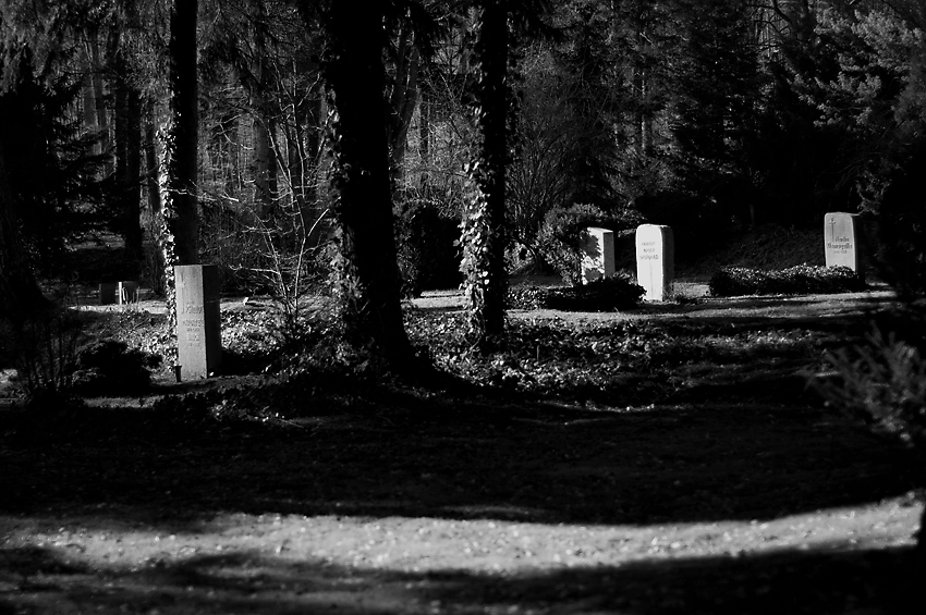 Waldfriedhof I