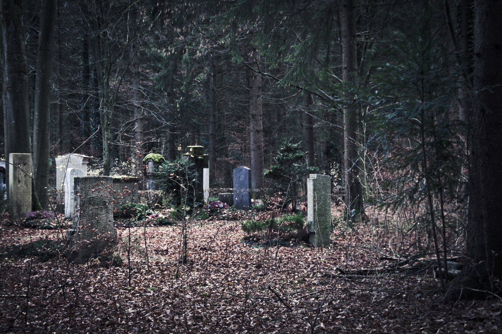 Waldfriedhof im Herbst