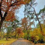 Waldfriedhof im Herbst