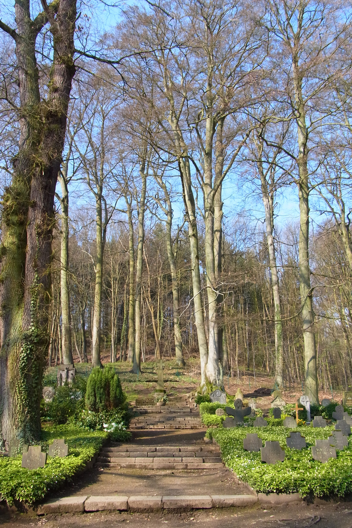 Waldfriedhof in Maria Laach