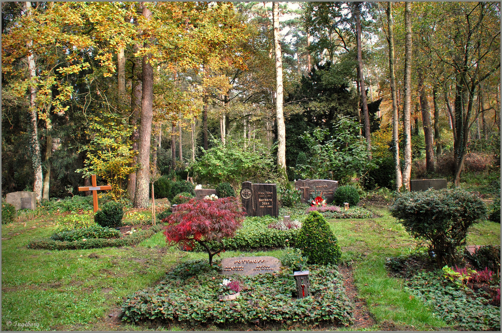 Waldfriedhof Lauheide