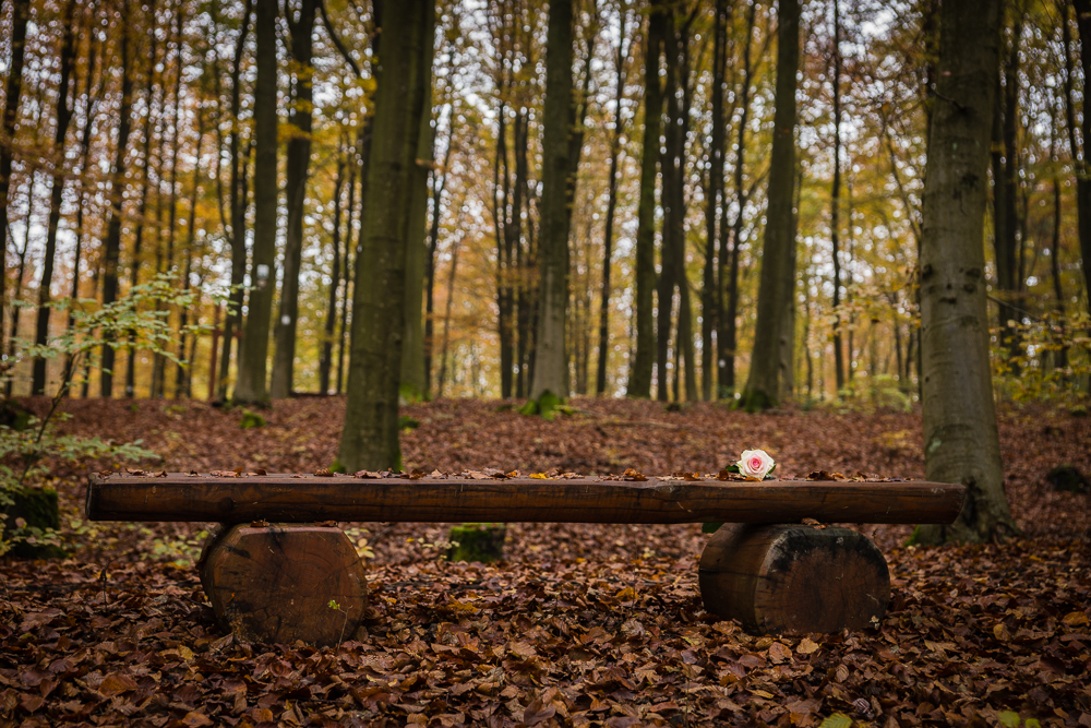 Waldfriedhof Siegen 05