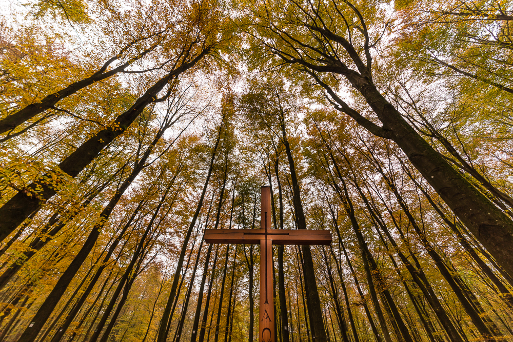 Waldfriedhof Siegen 06