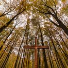 Waldfriedhof Siegen 06