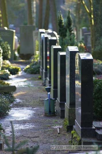 Waldfriedhof Wendelstein - In Reihe