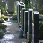 Waldfriedhof Wendelstein - In Reihe