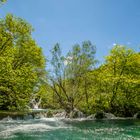 Waldfrühling am Wasser