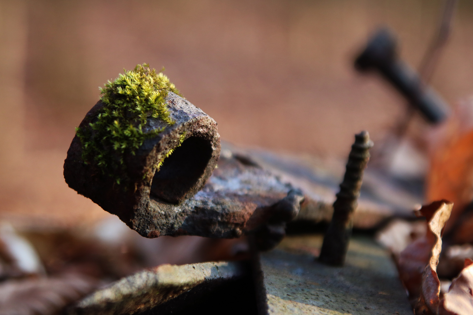 Waldfundstück