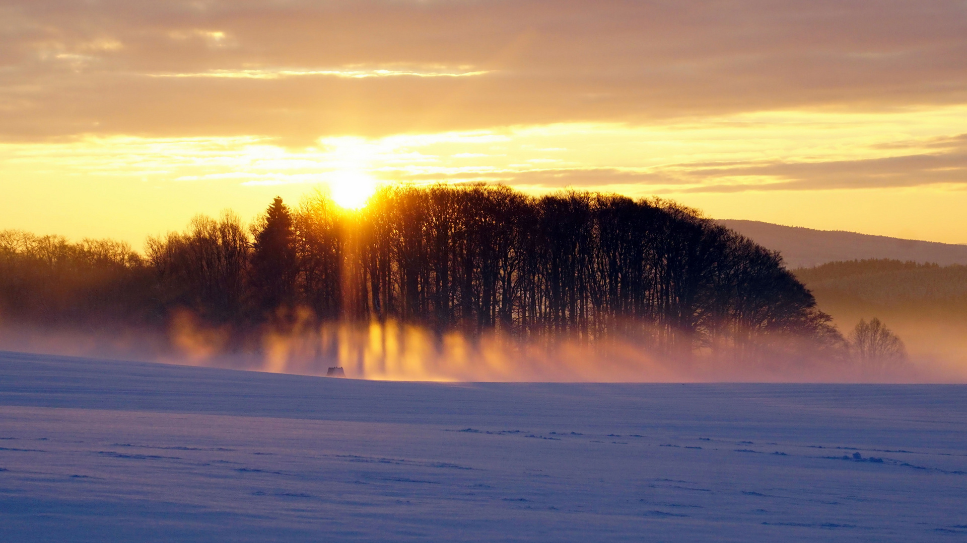 Waldglühen... Sonnenaufgang vom 18.12.2017