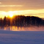 Waldglühen... Sonnenaufgang vom 18.12.2017