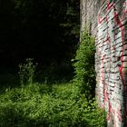 Waldgraffiti