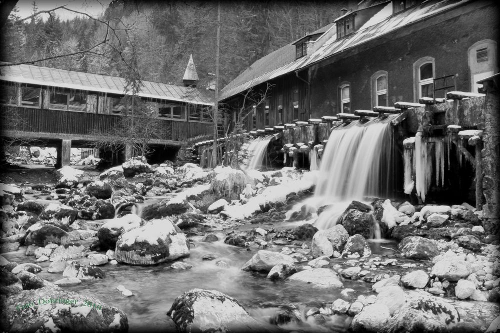 Waldhammer- Fluder