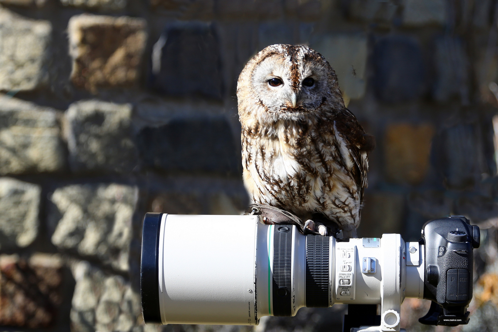 Waldhaus Fotoshooting