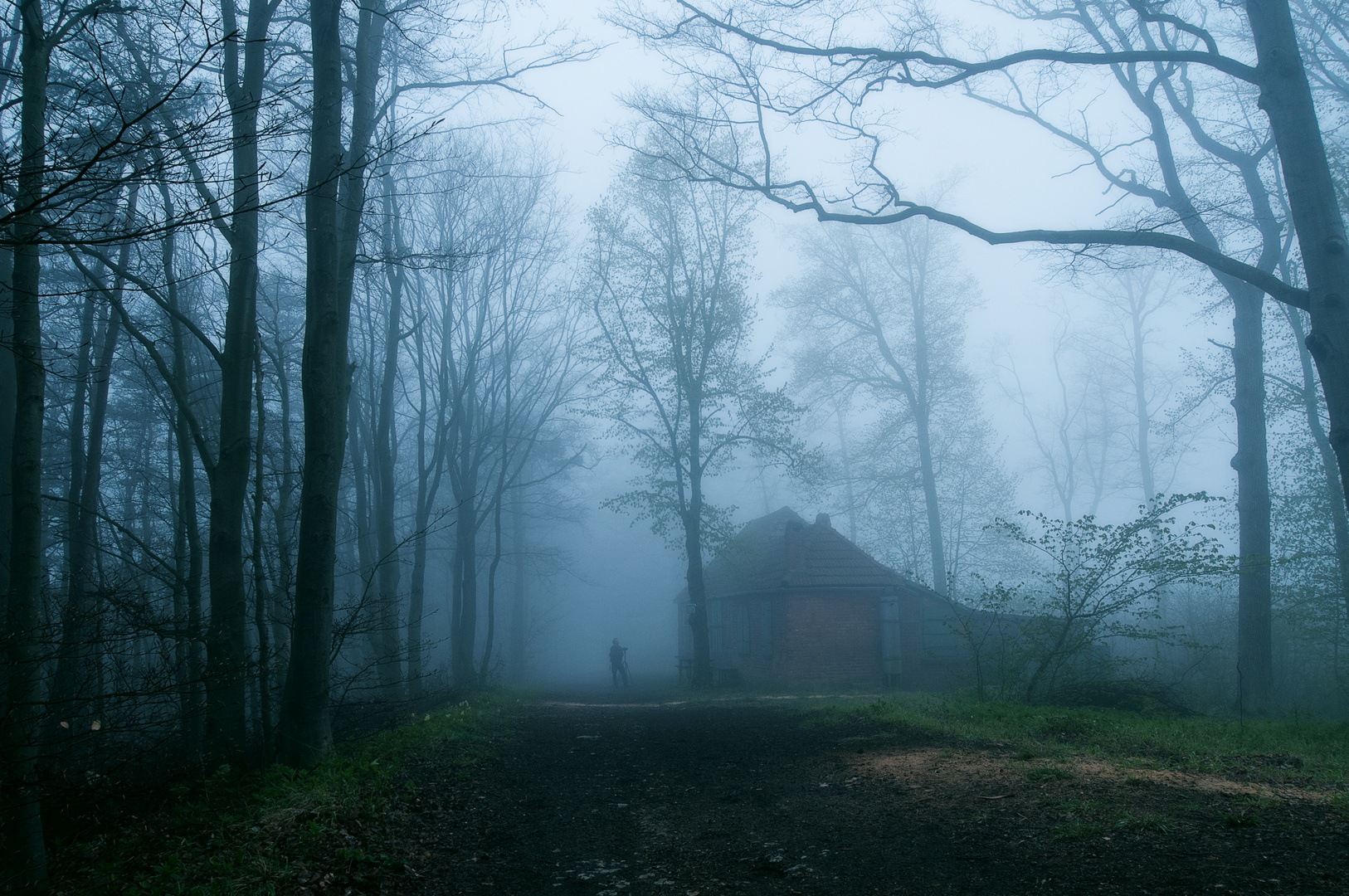 Waldhaus im Nebel