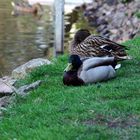 Waldheim Sachsen Sommer 2008 fluss capau oder so