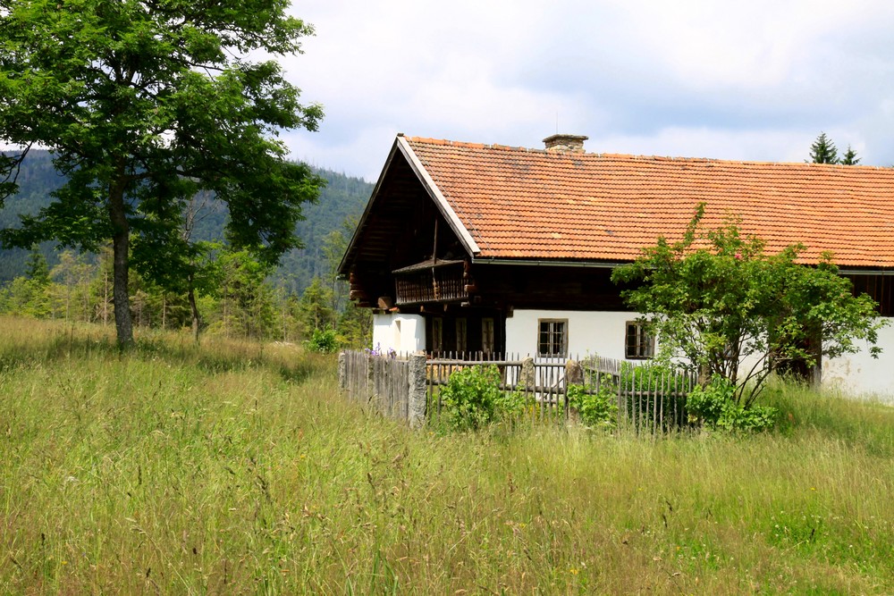 Waldheimat