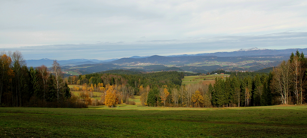 Waldherbst