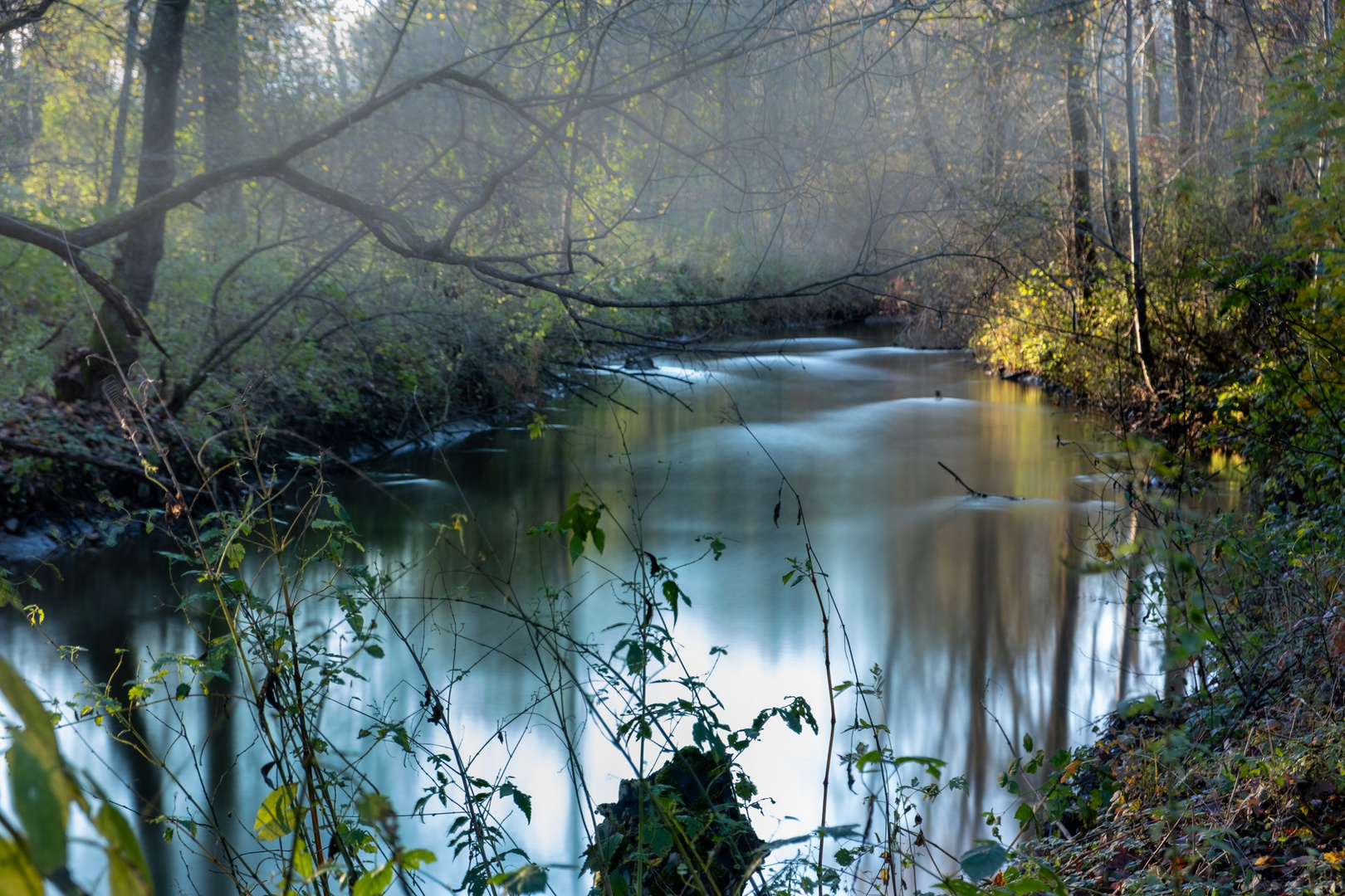 Waldherbst