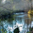 Waldherbst