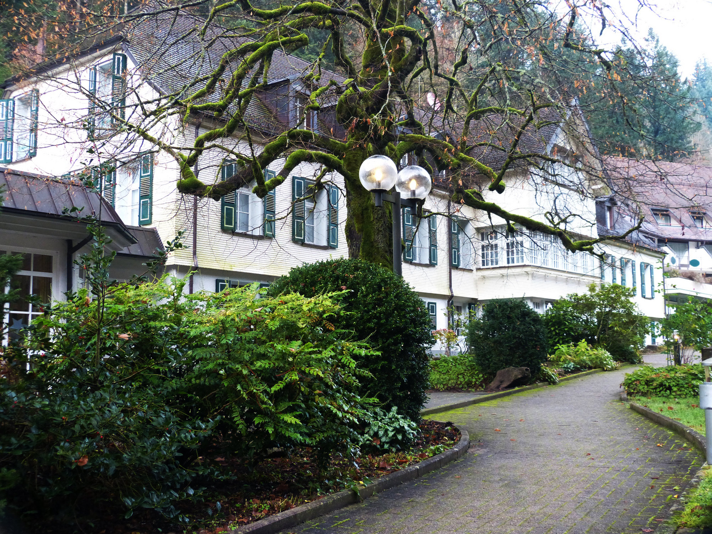 Waldhotel in Bad Sulzburg