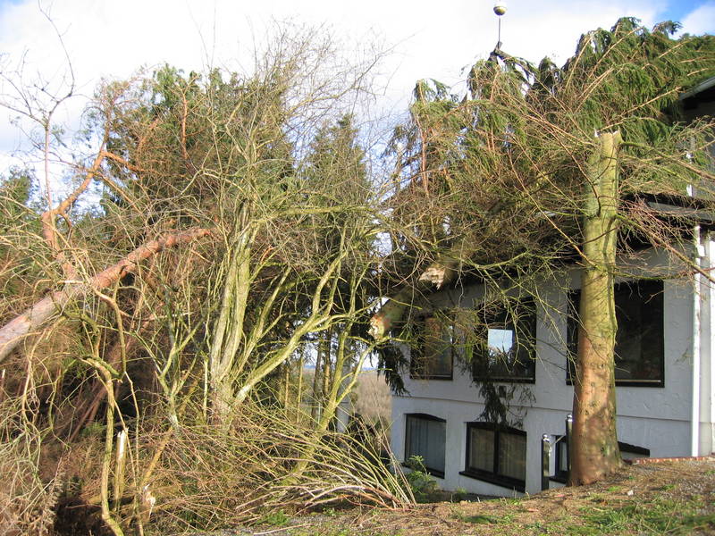 Waldhotel nach Sturm