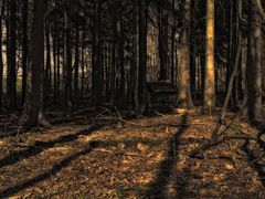 waldhotel zum friedlichen bock