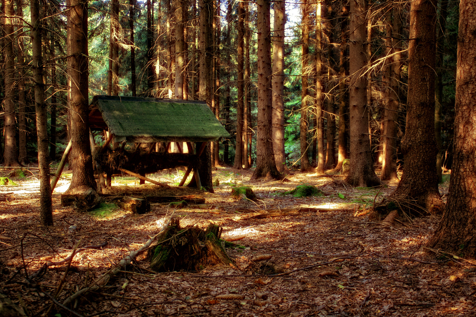 waldhotel zum lustigen bock