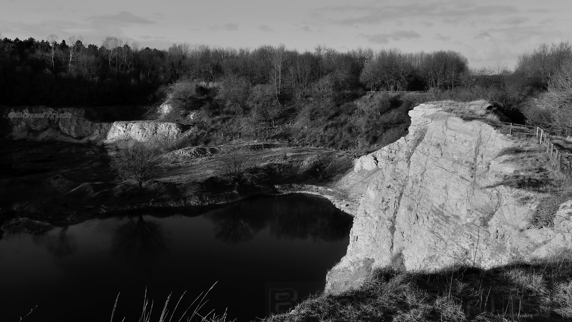 Waldhügel Rheine Jan 2015 in s/w