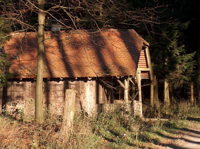 Waldhütte