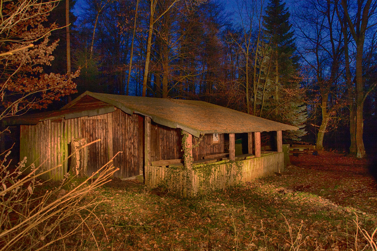 Waldhütte bei Nacht