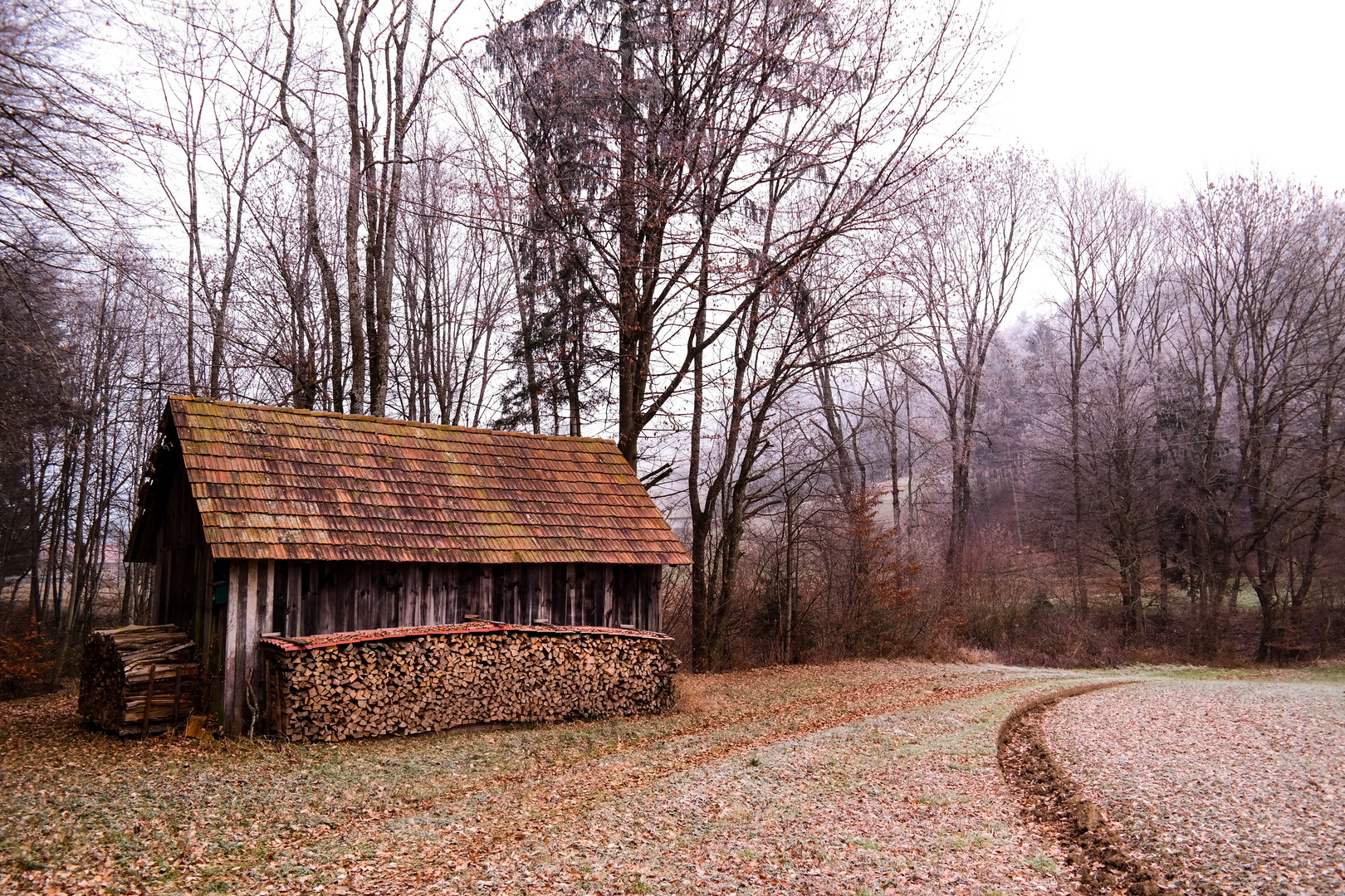 Waldhütte