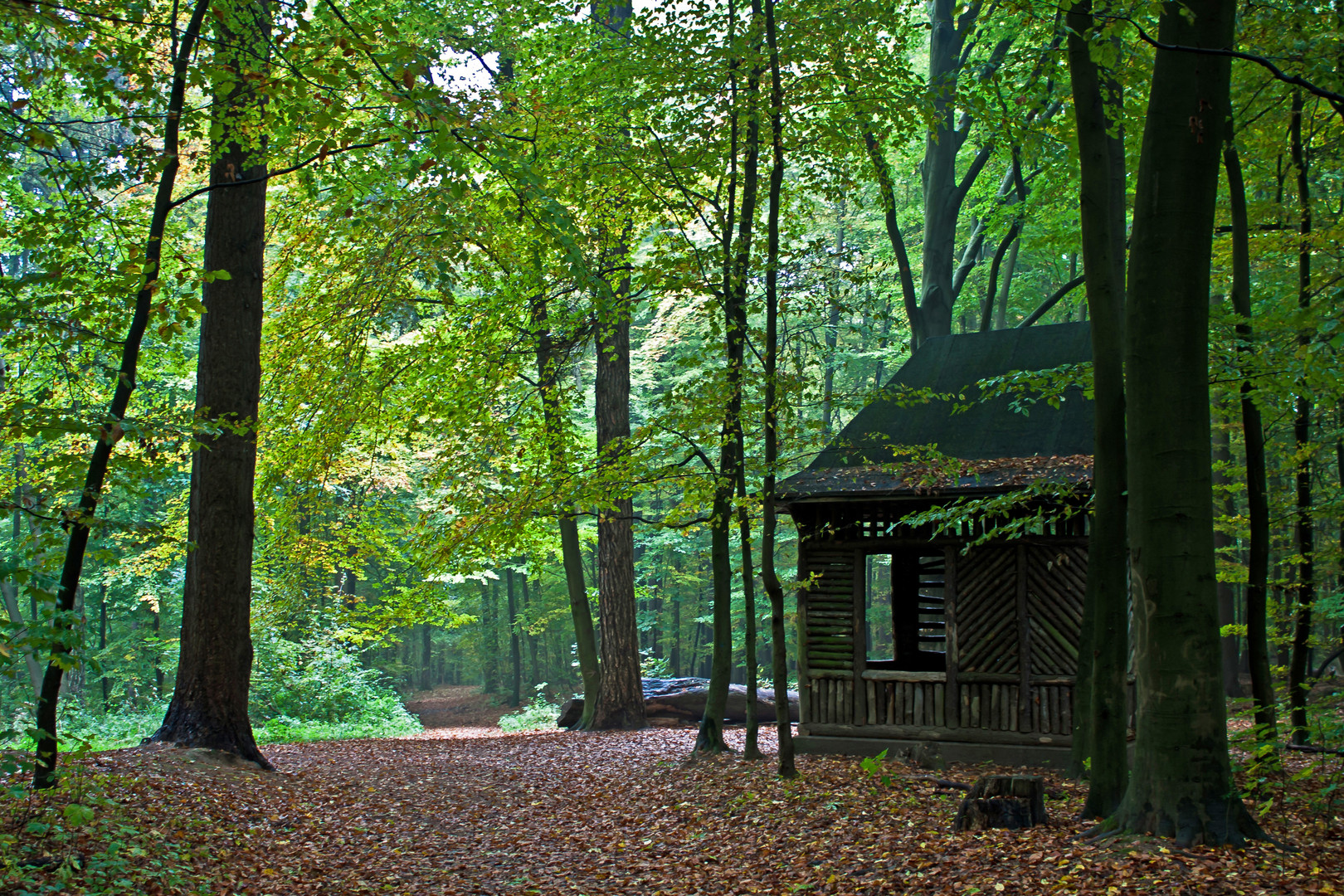 Waldhütte