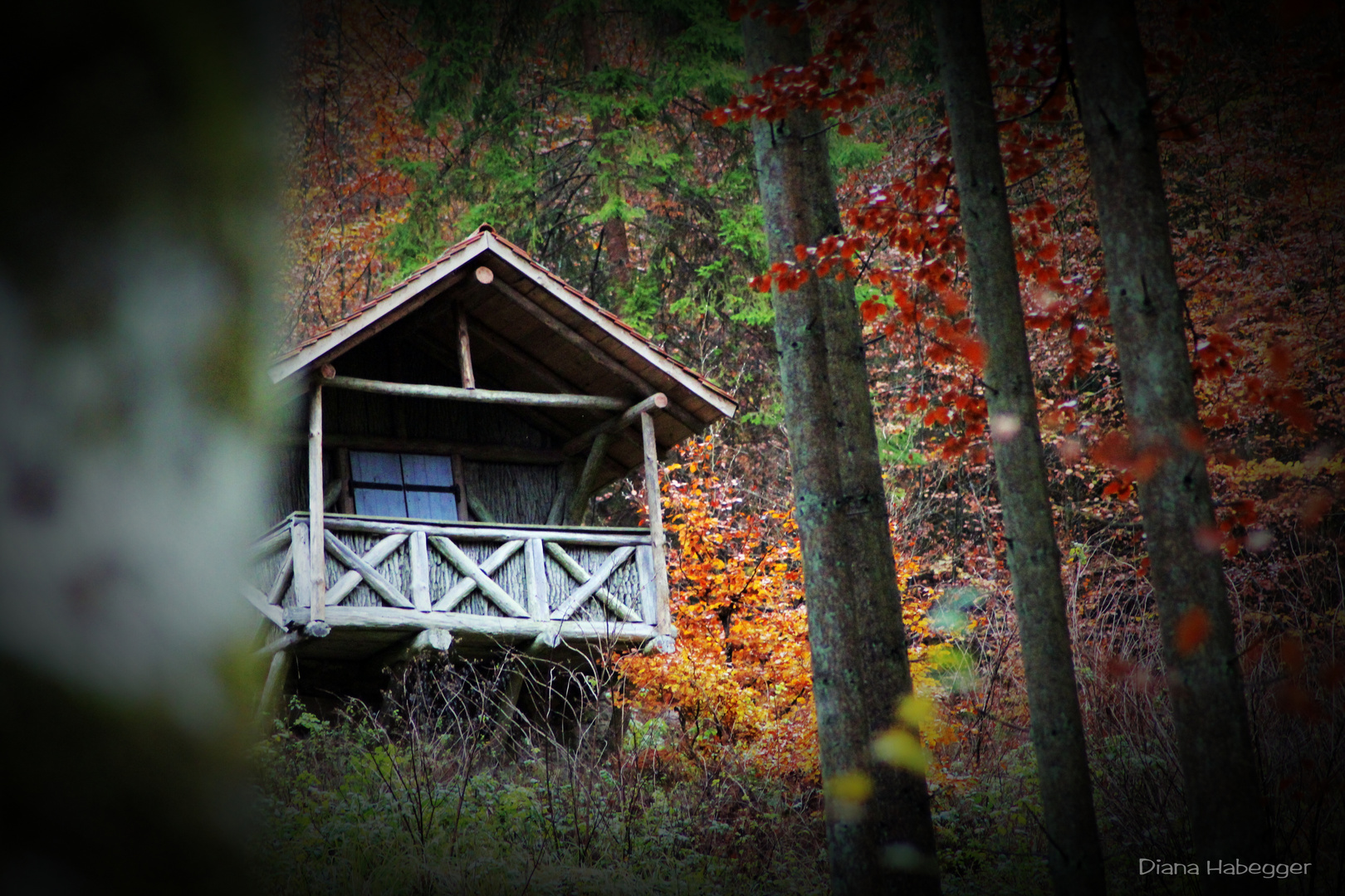 Waldhütte im Hebst