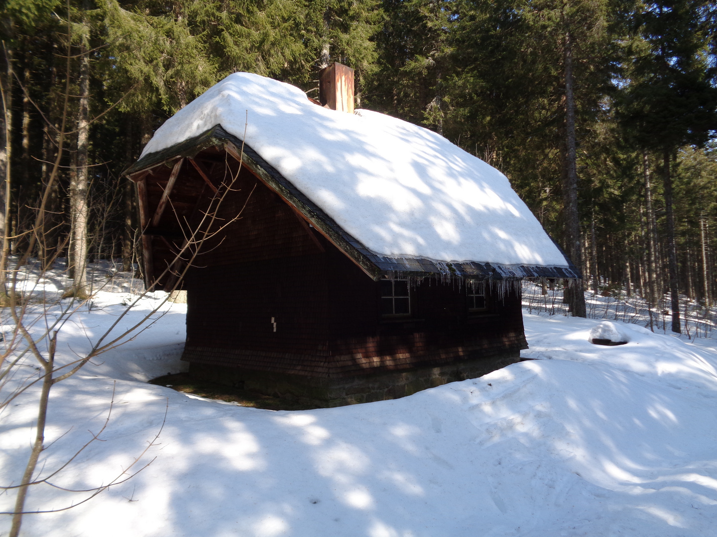 Waldhütte im Schwarzwald