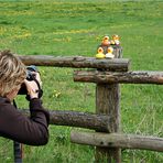 Waldi - Treffen an der Höcklager Schleuse