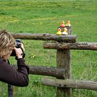 Waldi - Treffen an der Höcklager Schleuse