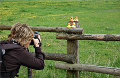 Waldi - Treffen an der Höcklager Schleuse