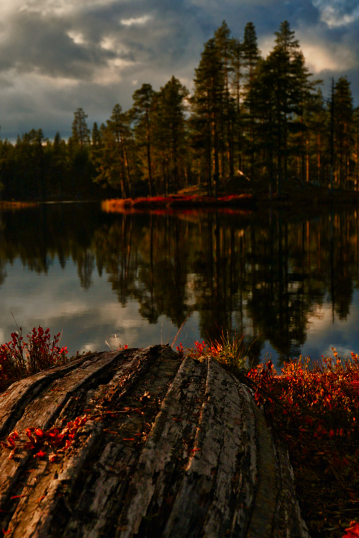 Waldidyll im schwedischen Herbst