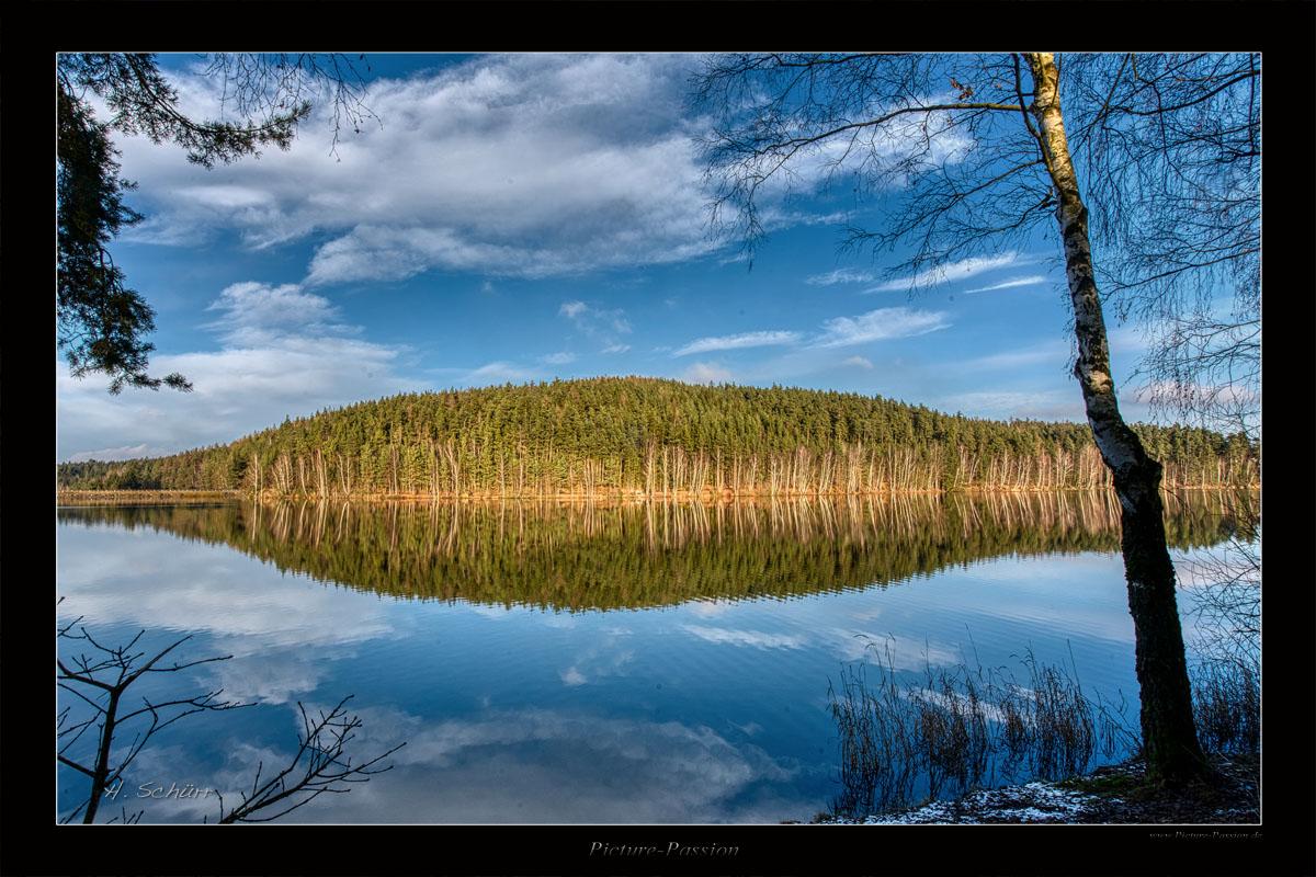 Waldiges Ufer im Herbstlicht