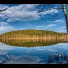 Waldiges Ufer im Herbstlicht